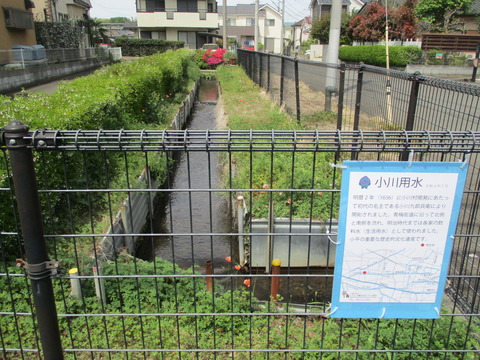 197小川用水6