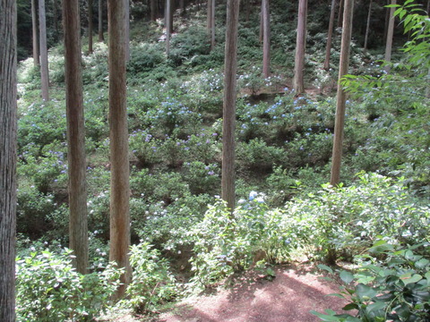 85帰り1