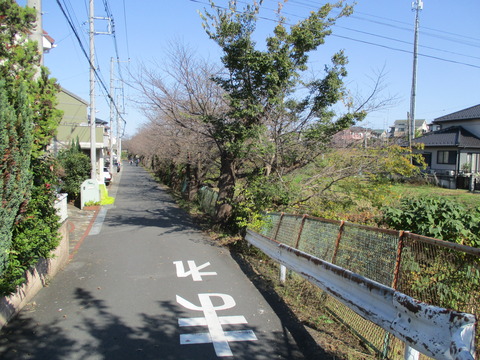 86綾瀬川沿い