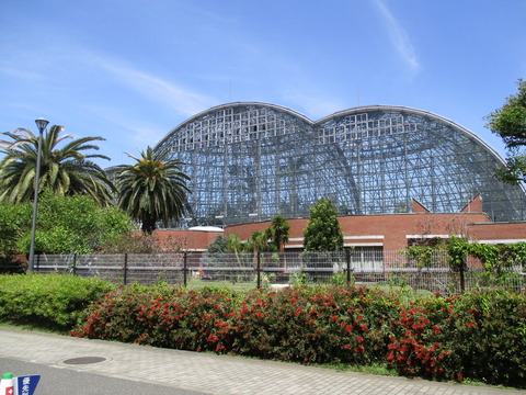 18熱帯植物園２