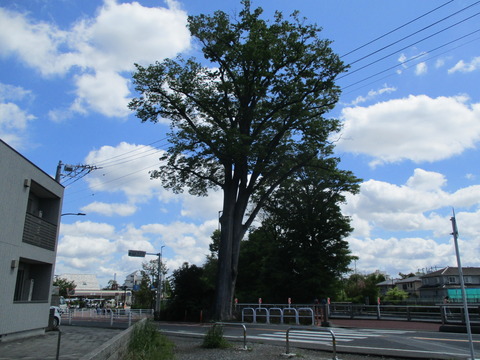 104牟礼橋2