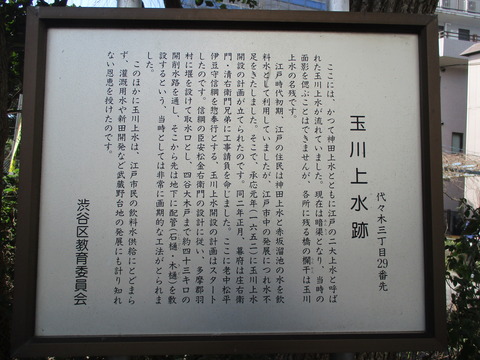 86代々木緑道8
