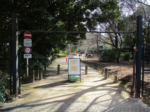 42散歩道1