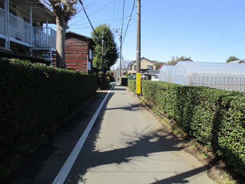 75江戸の農家みち1