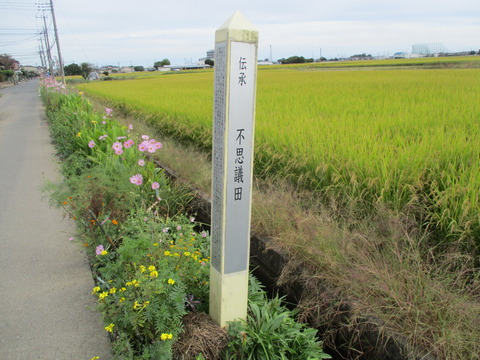 282不思議田3