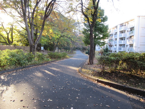 233戸山公園17