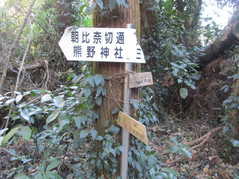 157果樹園へ9