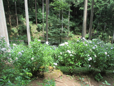 76対岸ルート6