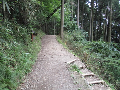 230分岐点1