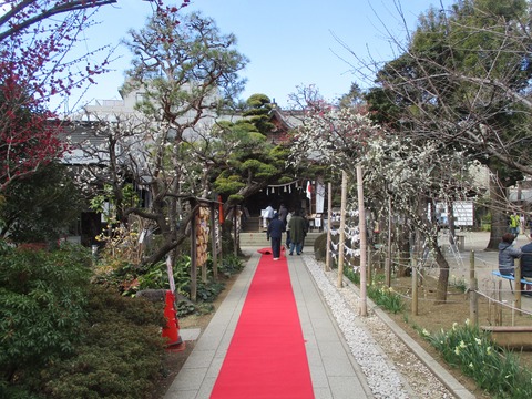 47鳩森八幡神社６