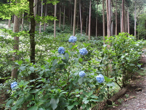 87帰り3