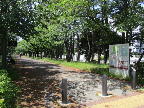 51辰巳の森緑道公園２