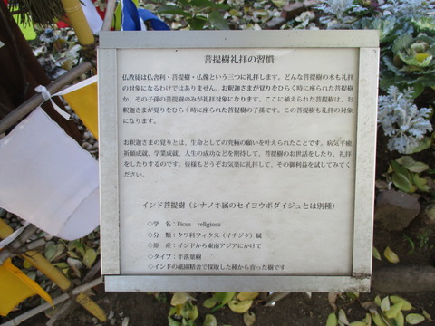 91相生橋3