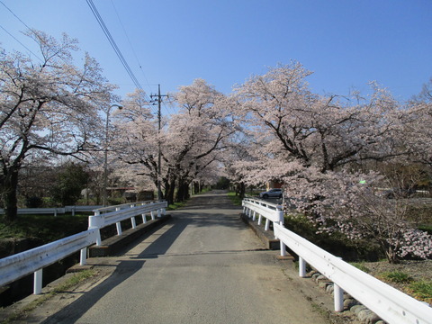 59蓬莱島公園2