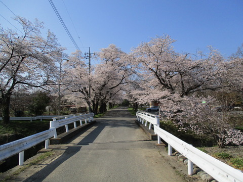 59蓬莱島公園２