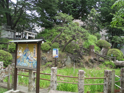 227鳩森八幡神社12