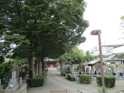 89妙光院12