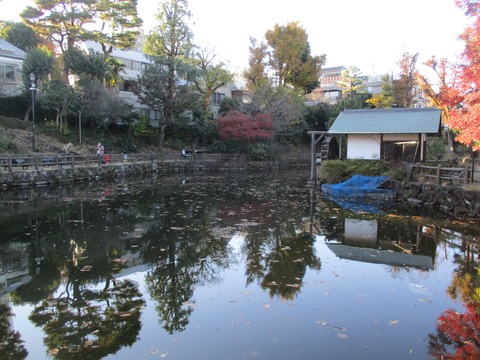 136鍋島松濤公園６