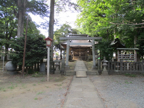 261三社4