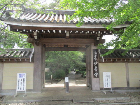 167妙壽寺6