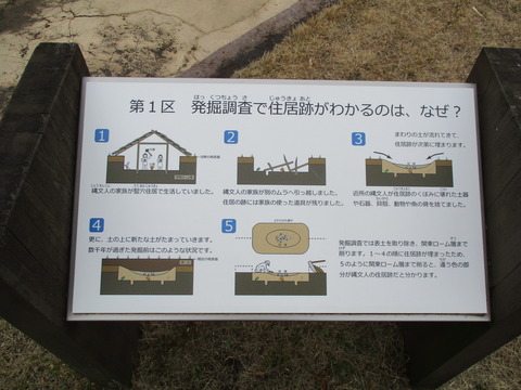 137飛ノ台貝塚4