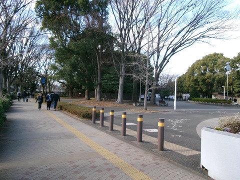 88代々木公園２