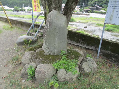 236五日市井塩