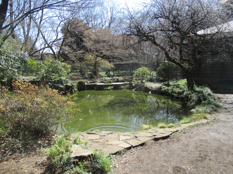 194浴恩館公園22