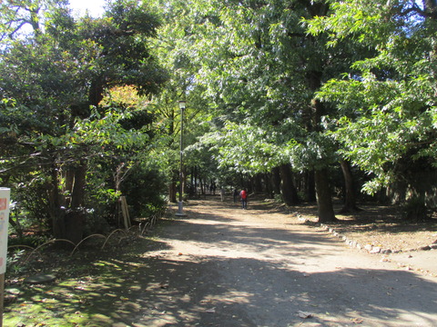 08武蔵関公園6