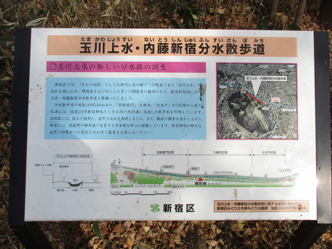 54散歩道１３