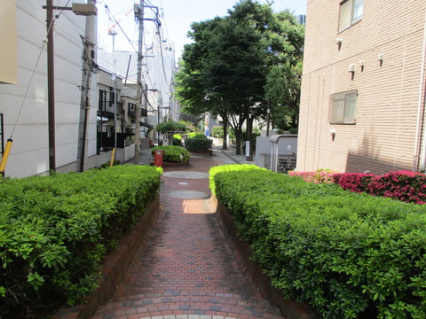 198谷端川緑道3