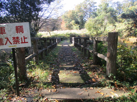 29木橋