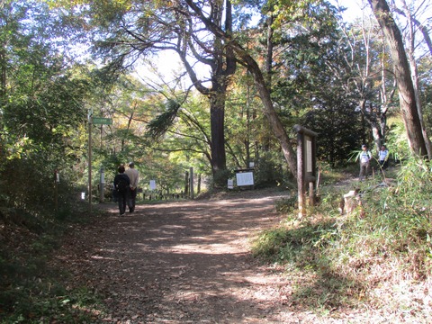 132分岐1