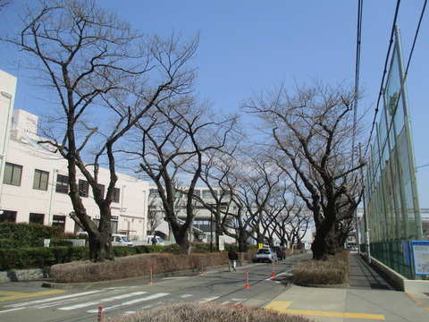 126泉市民体育館前2