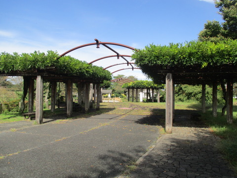 69騎西総合公園5
