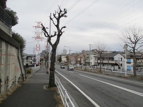 181再び県道9号