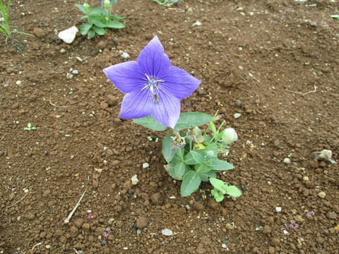 126多宝寺10