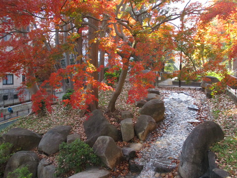 46公園内3