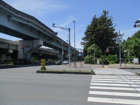 38夢の島緑道公園１