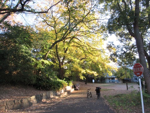 234戸山公園18
