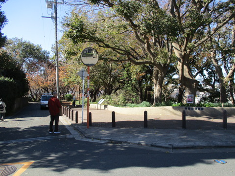 99菊名桜山公園1