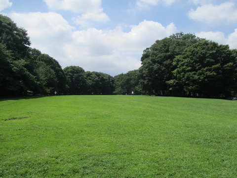 17砧公園11