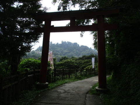 236鳥居2