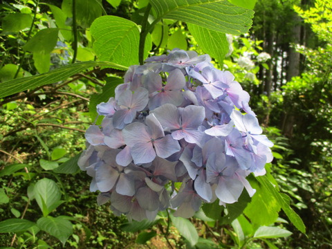 91帰り7