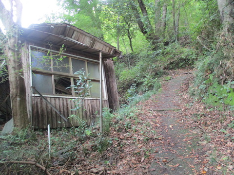 193山道5