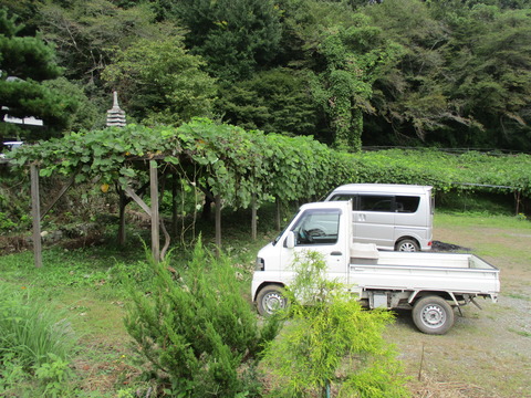 202遍照寺6
