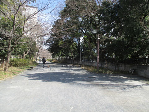 82代々木緑道4