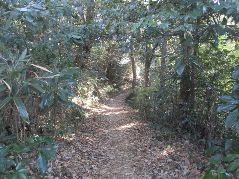 153果樹園へ5