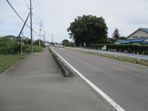226新川用水沿い