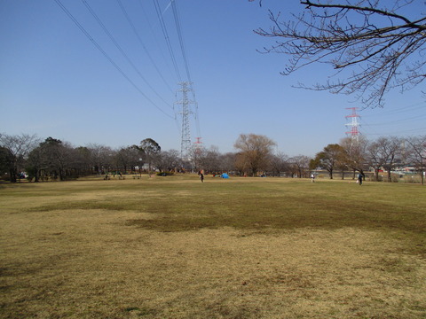128公園内2